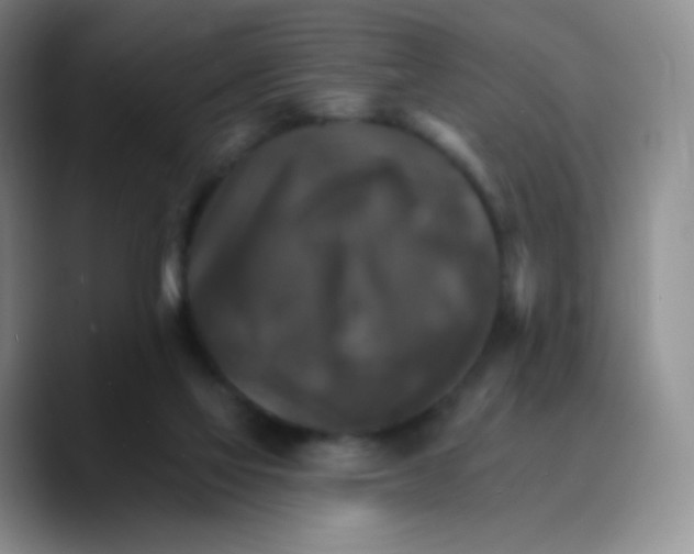 X0000089720069200707201829