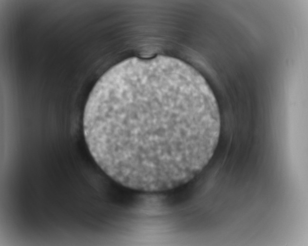 X0000089720073200707201829