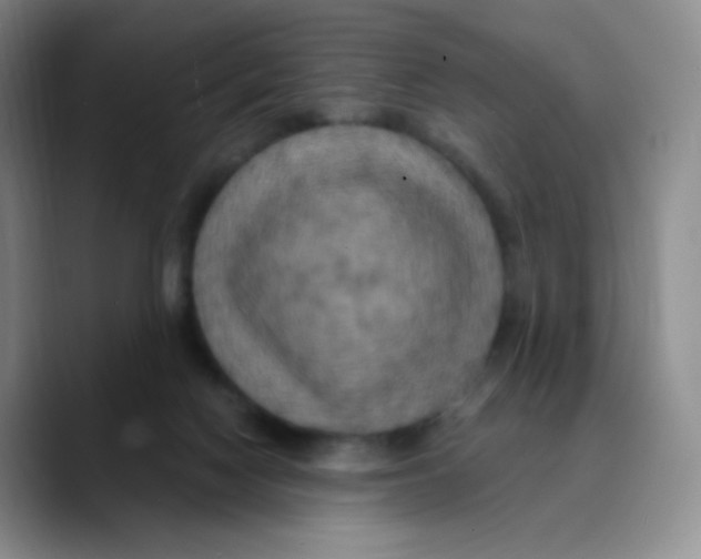 X0000089720074200707201829