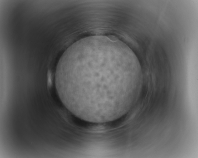 X0000089720075200707201829