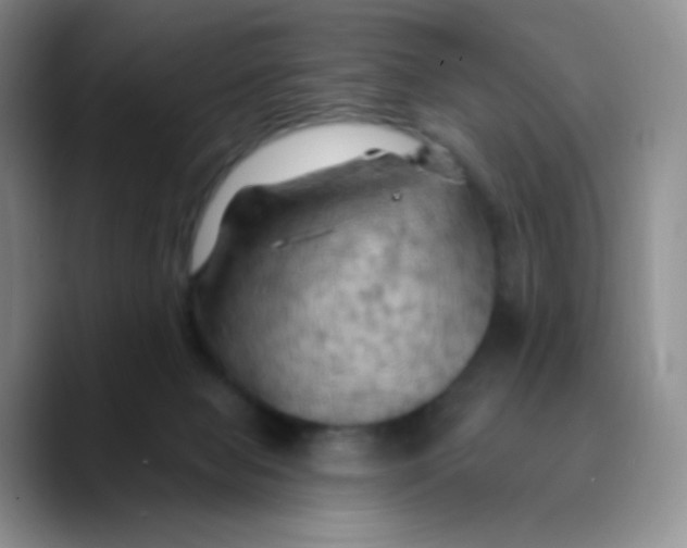 X0000089720077200707201829