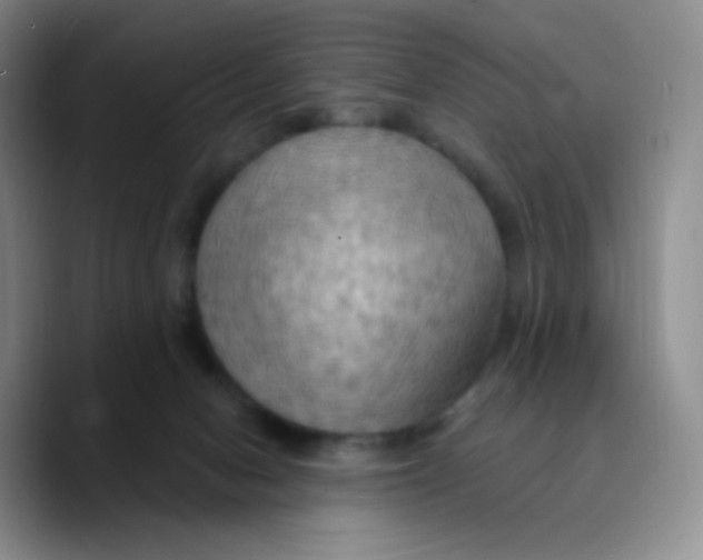 X0000089720078200707201829