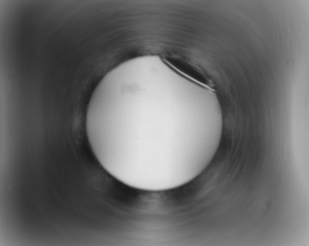 X0000089720079200707201829