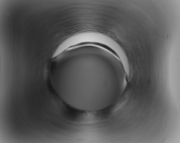 X0000089720080200707201829