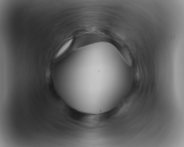 X0000089720084200707201829