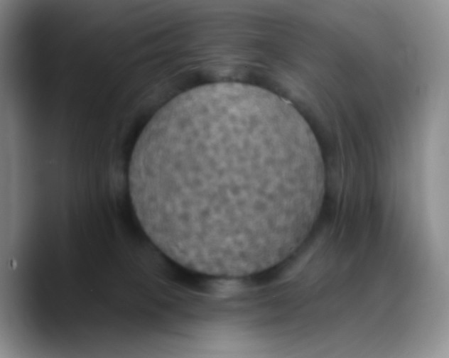 X0000089720085200707201829
