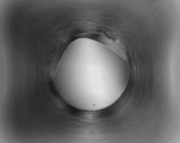 X0000089720088200707201829
