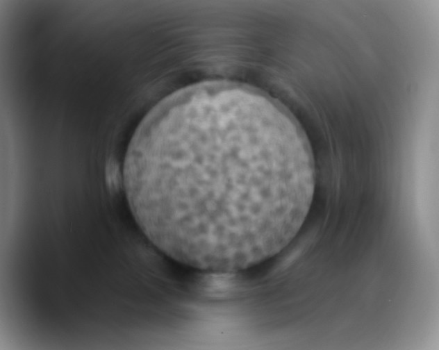 X0000089720089200707201829