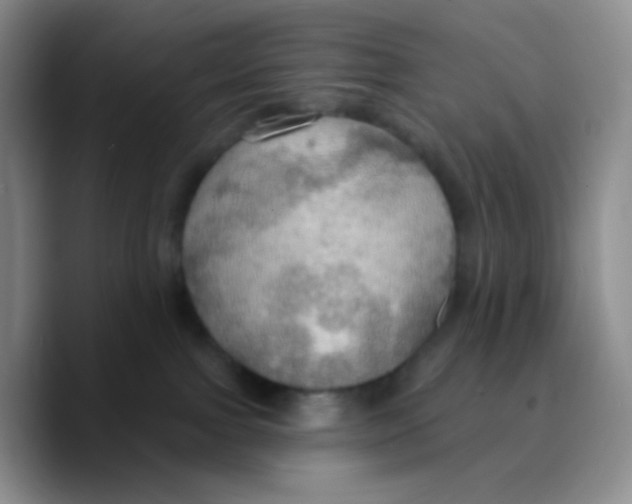 X0000089720091200707201829