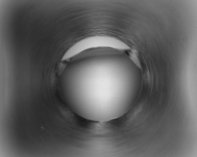 X0000089720092200707201829