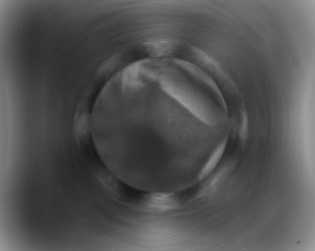 X0000089720093200707201829