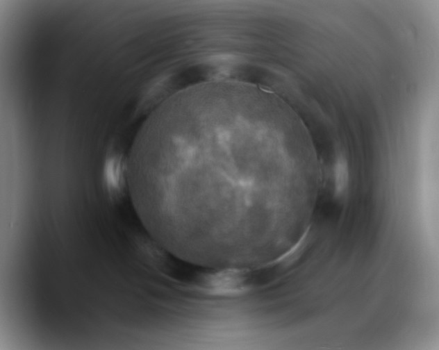 X0000089720094200707201829