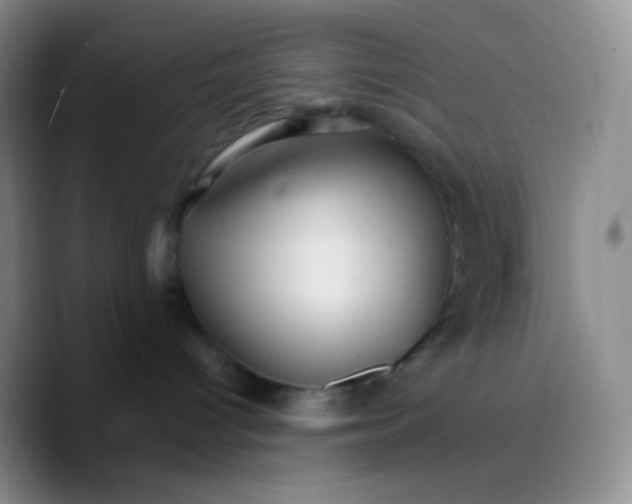 X0000089720096200707201829