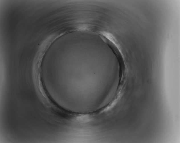 X0000089720097200707201829
