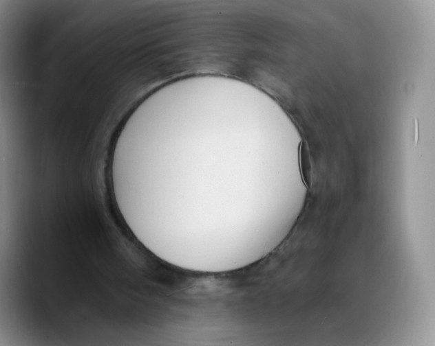 X0000089720098200707201829