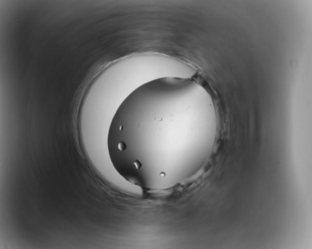 X0000089720099200707201829