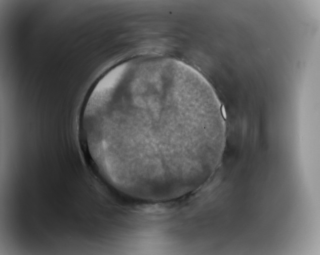 X0000089720100200707201829