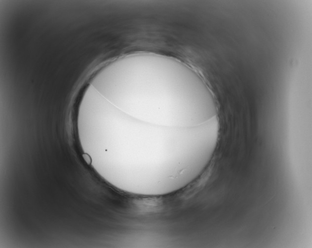 X0000089720102200707201829