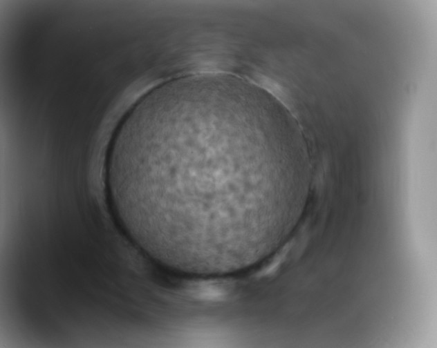 X0000089720103200707201829
