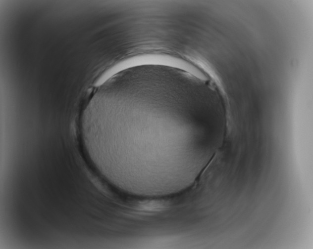 X0000089720105200707201829