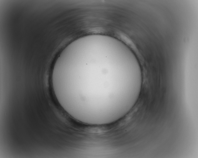 X0000089720106200707201829