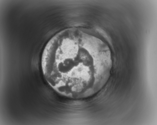 X0000089720107200707201829