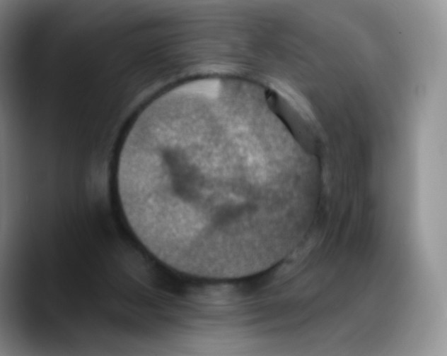 X0000089720108200707201829