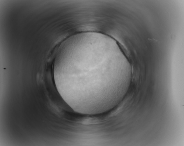 X0000089720109200707201829