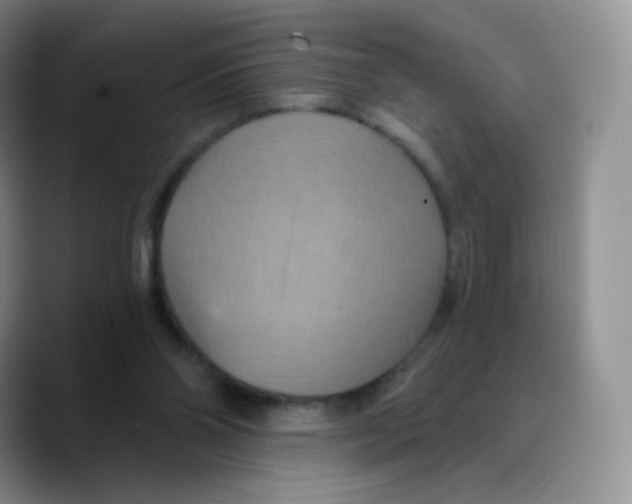 X0000089720110200707201829