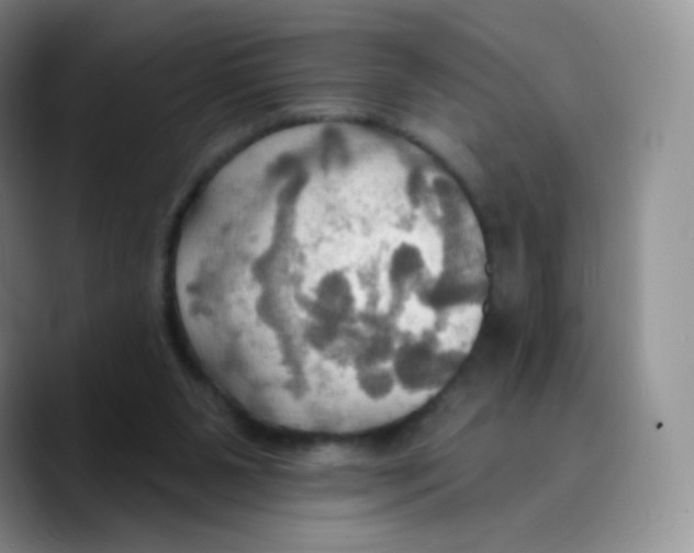 X0000089720111200707201829