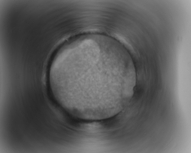 X0000089720112200707201829