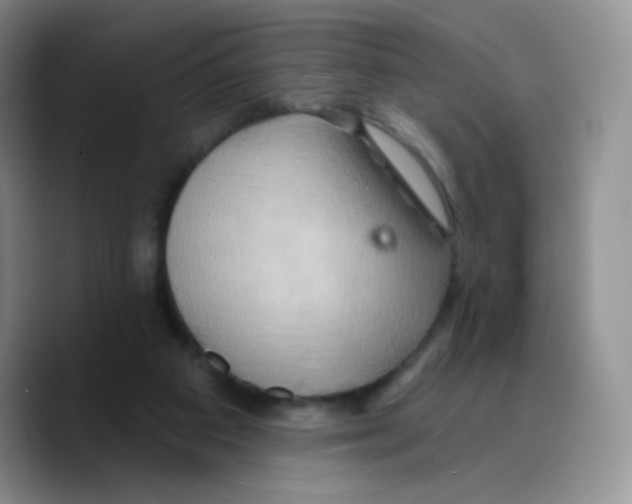 X0000089720113200707201829