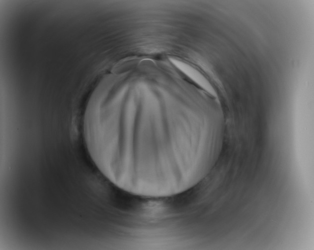 X0000089720114200707201829