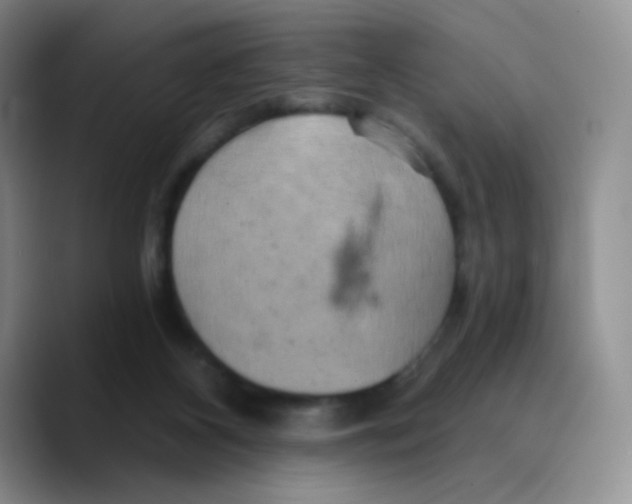 X0000089720116200707201828