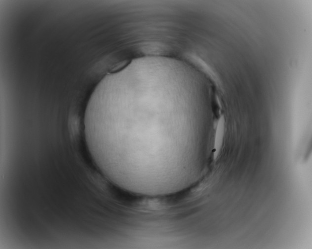 X0000089720117200707201828