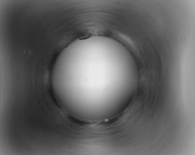 X0000089720121200707201828