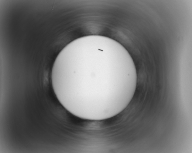 X0000089720122200707201828