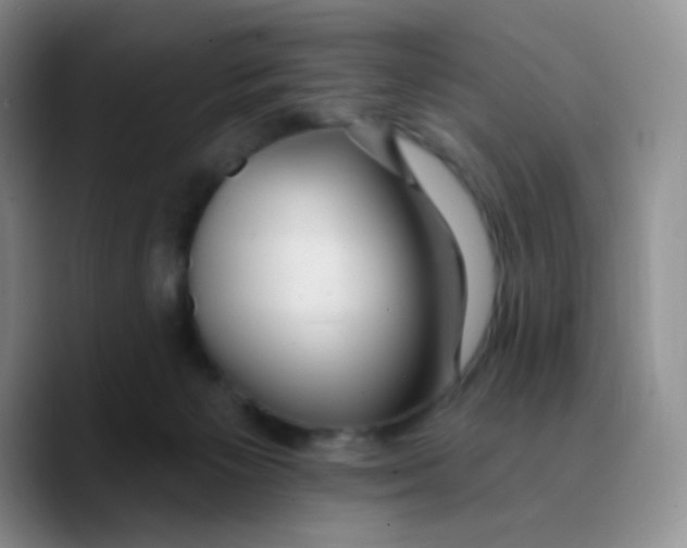 X0000089720125200707201828
