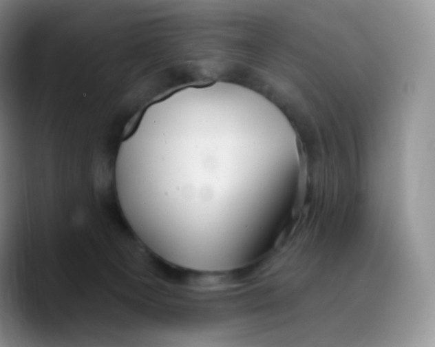 X0000089720129200707201828
