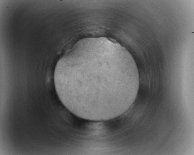 X0000089720132200707201828