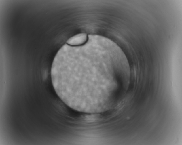 X0000089720134200707201828