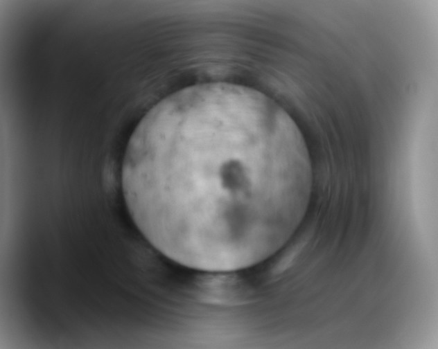 X0000089720135200707201828