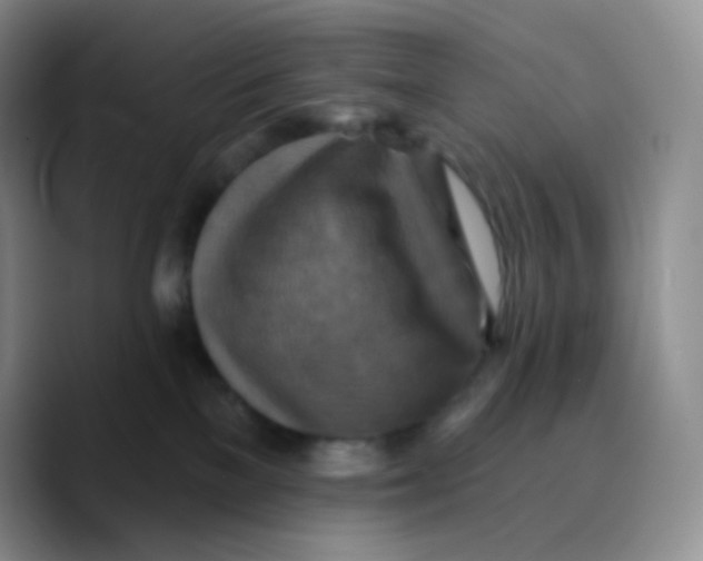 X0000089720137200707201828
