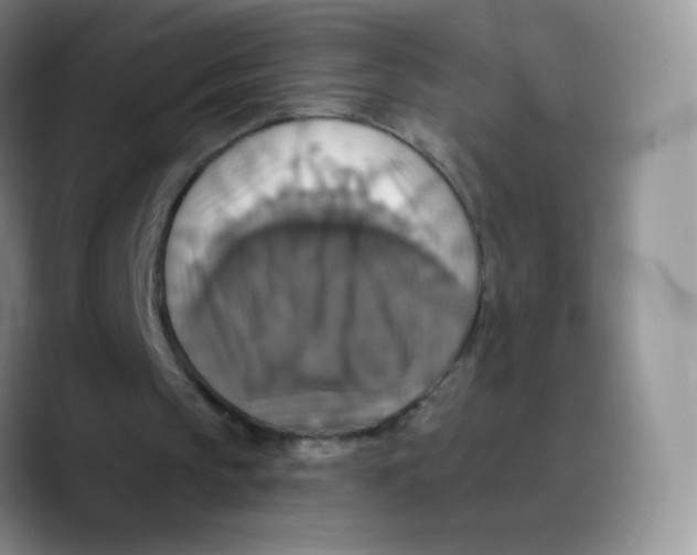 X0000089720145200707201827
