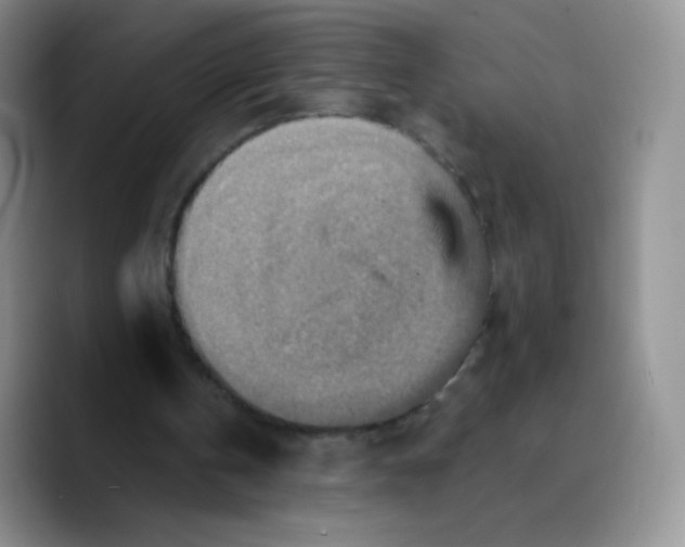 X0000089720146200707201827