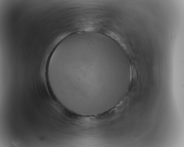 X0000089720147200707201828