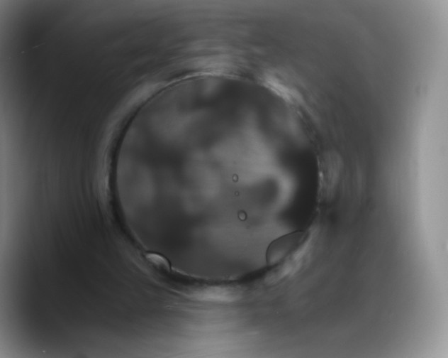 X0000089720149200707201828