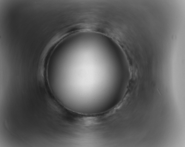 X0000089720150200707201828