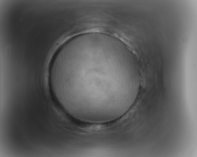 X0000089720152200707201828