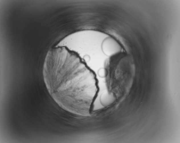 X0000089720153200707201828